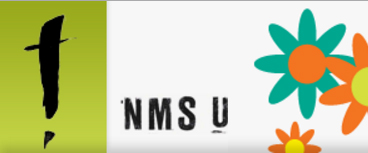 NMSU stavanger